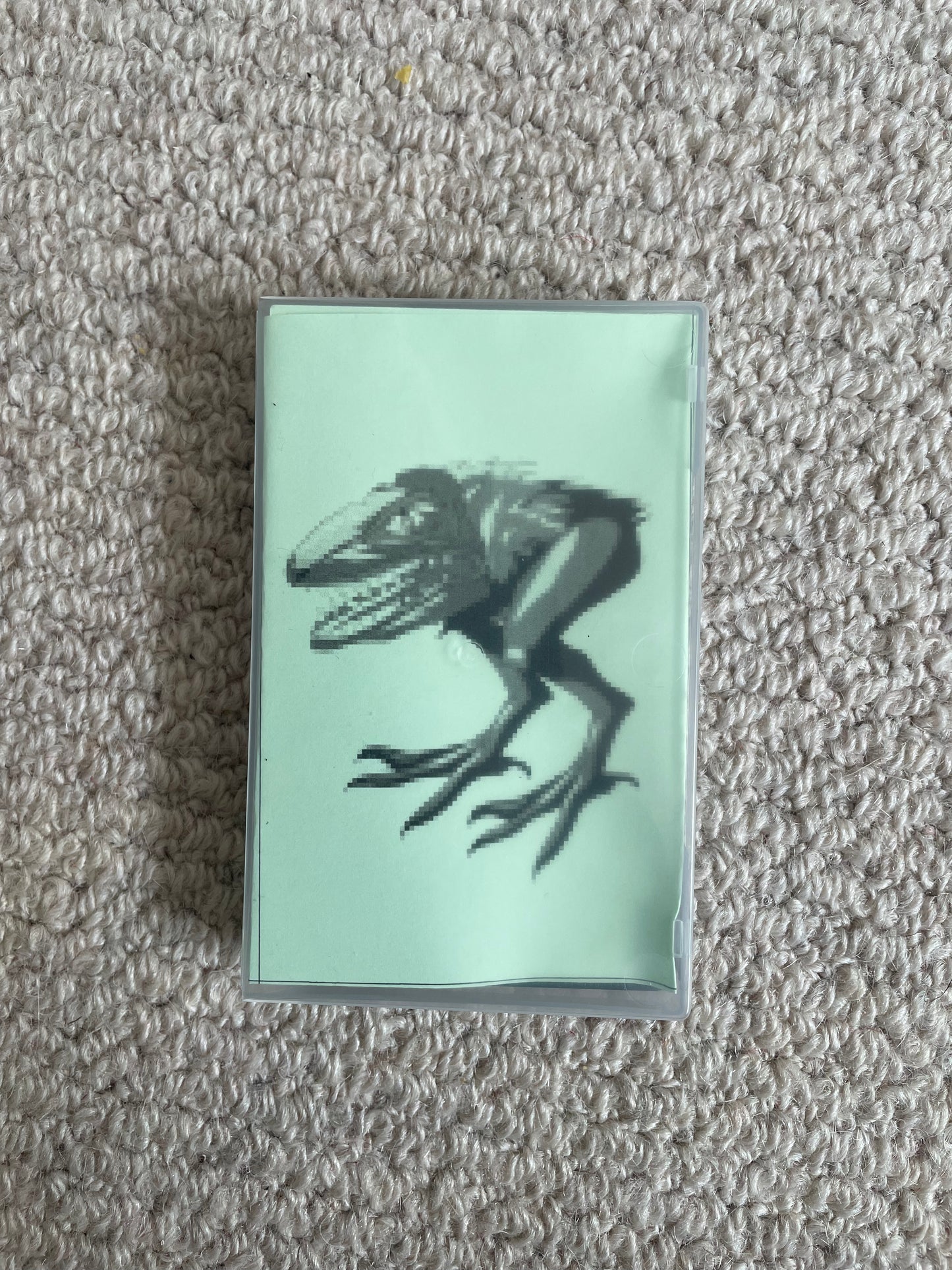 Frogzard - Self Titled CS
