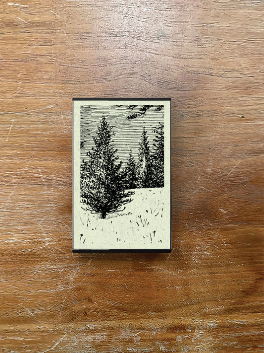 Shire Oak — Sempervirens