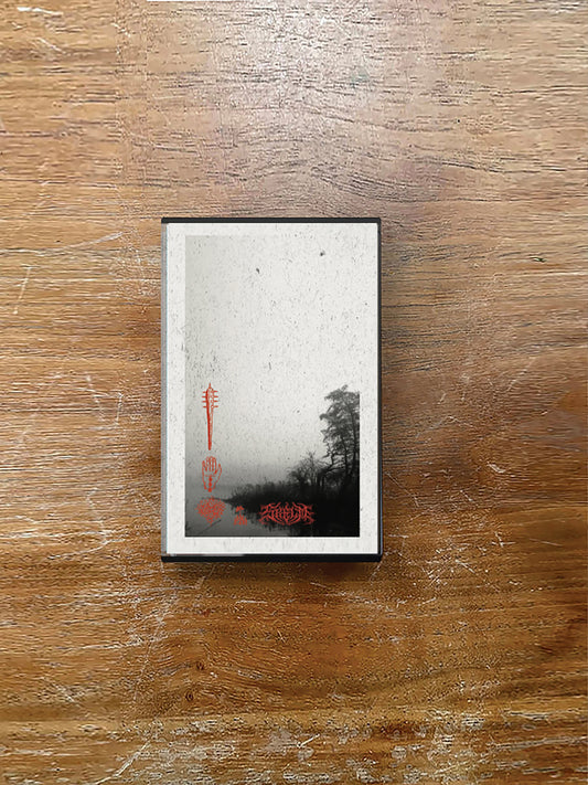 Archer // Skelm — Split Cassette